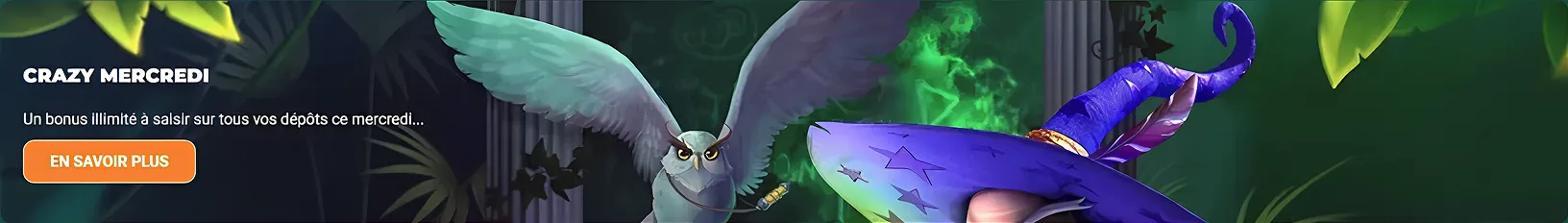 Promotion Crazy Mercredi avec hibou magique et chapeau de sorcier violet